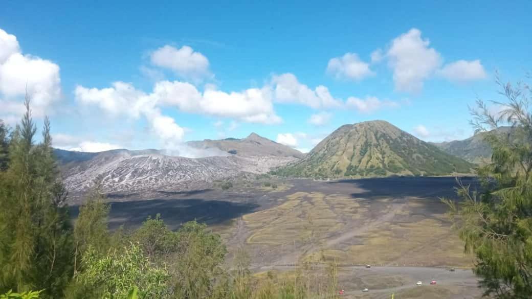 Javalindra Homestay Tour And Travel Banyuwangi  Exterior foto